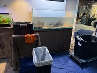 IMG_7890.webp IMG_7890.webp