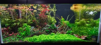 Farm Tank 12_13_25.webp