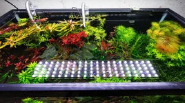 Farm Tank Above Small.webp