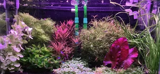 IMG_4068.webp IMG_4068.webp