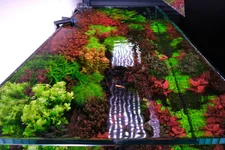 2hrAquaristDSCF7951E top view.webp