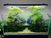 1767647254550.webp 1767647254550.webp