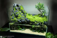 1767647274036.webp 1767647274036.webp