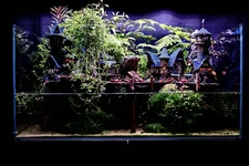 EOSR5557.webp EOSR5557.webp