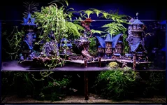 EOSR5393.webp EOSR5393.webp