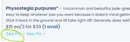 1768517770040.webp 1768517770040.webp