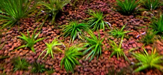 20260115_171211.webp