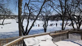 Snow Day.webp Snow Day.webp