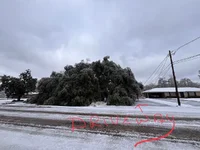 IMG_3171.webp IMG_3171.webp