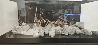 20260122_162837.webp 20260122_162837.webp