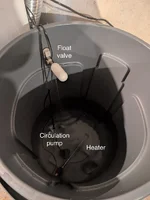 PXL_20260215_192828848.MP (1).webp