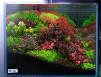 DSCF9910 side show.webp