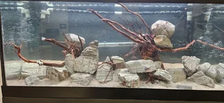 1000011478.webp 1000011478.webp