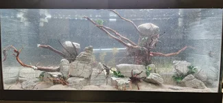 1000011479.webp 1000011479.webp