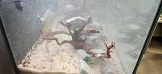 1000011481.webp 1000011481.webp