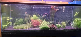 1000011495.webp 1000011495.webp