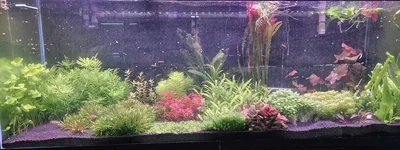 1000011368.webp 1000011368.webp