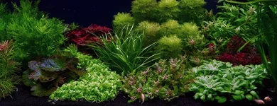 1000001652.webp 1000001652.webp