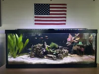 IMG_5292 (1).webp IMG_5292 (1).webp