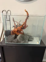 IMG_9256.webp IMG_9256.webp