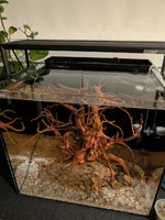 PXL_20260302_000213602.MP.webp PXL_20260302_000213602.MP.webp