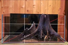 Screenshot_20260226_134219_Gallery.webp Screenshot_20260226_134219_Gallery.webp