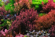 DSCF0142 Florida.webp