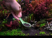 DSCF5099E Spoon.webp