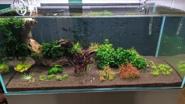 1000005888.webp 1000005888.webp