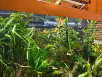 1000048350.webp 1000048350.webp