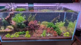 1000006039.webp 1000006039.webp