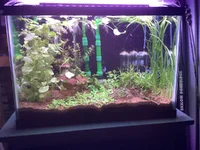 IMG_4500.webp IMG_4500.webp