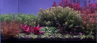 Screenshot 2026-03-30 at 9.52.03 AM.webp