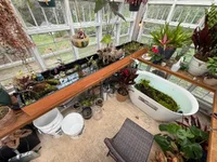 tub and table 1 week .webp