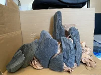 IMG_4941.webp IMG_4941.webp