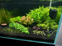 1775319779126.webp 1775319779126.webp