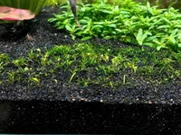 1775319839136.webp 1775319839136.webp