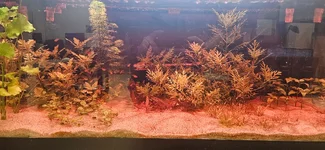 20260408_104427.webp
