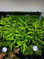 1775890583144.webp 1775890583144.webp