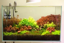 2hrAquaristDesk lamp DSCF1834.webp