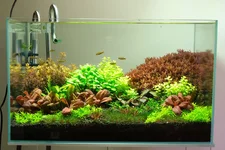 2hrAquarist6500K spot light DSCF1831.webp