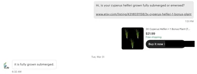 Screenshot 2026-04-19 at 10.44.39 AM.webp