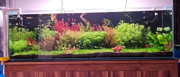 WhatsApp Image 2026-04-24 at 1.21.32 PM.webp