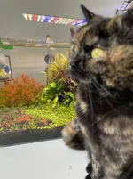 IMG_0649.webp IMG_0649.webp
