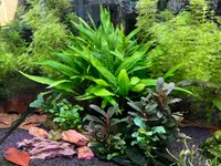 IMG_7218.webp IMG_7218.webp