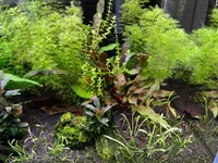IMG_7217.webp IMG_7217.webp