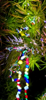 20260526_185658.webp