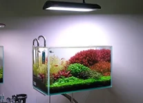 2hrAquaristDSCF4704E 60R 70G 42B (2).webp