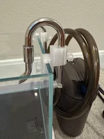 IMG_0153.webp IMG_0153.webp