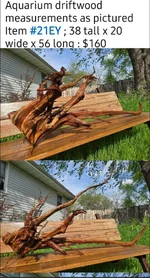 Belinda's Driftwood.webp